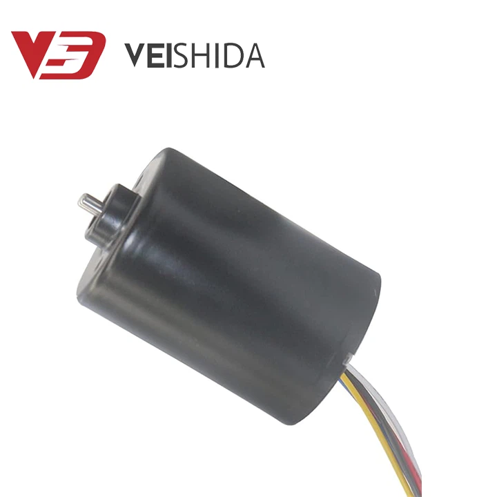 33mm Long Life 12V Small Size DC Brushless Motor