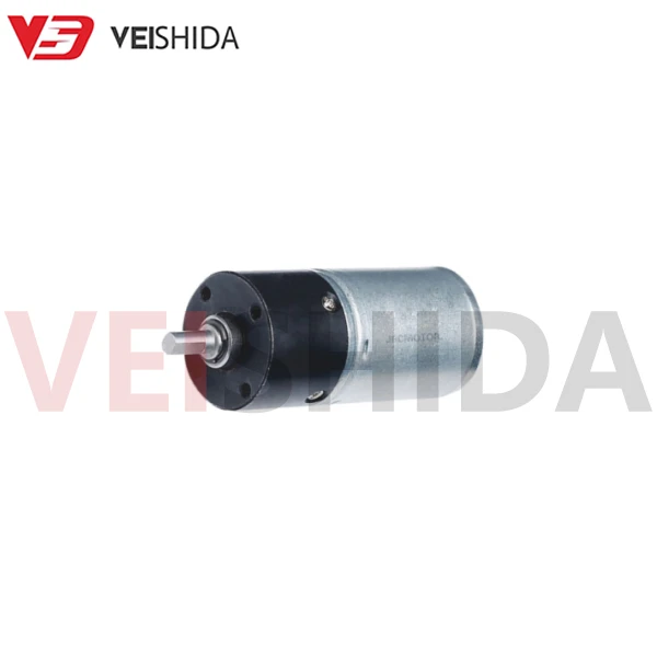 VSD - 24P370 Motor With Gear Reduction